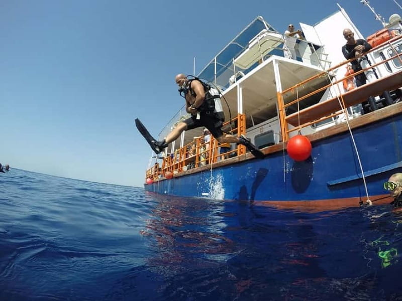 Larnaca: Private Zenobia Beginners Divers - The $107 price: fair value for a first session