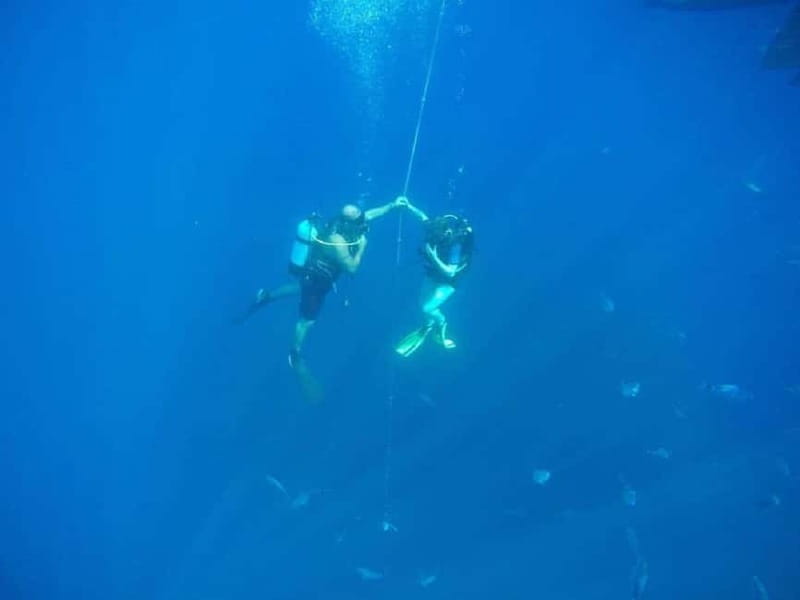 Larnaca: Private Zenobia Beginners Divers - What happens during the three-hour session