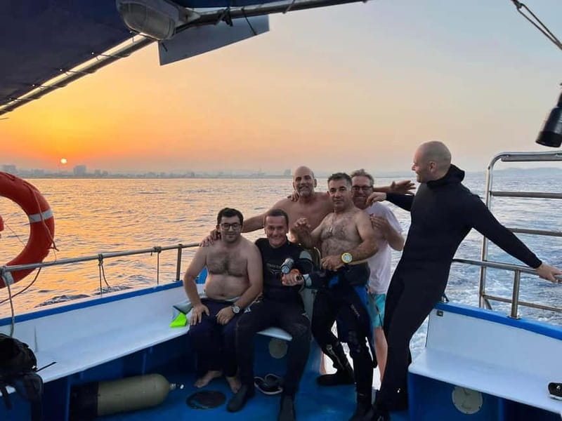 Larnaca: Snorkelling Zenobia Wreck Plus Mini Cruise - Why the Zenobia is worth seeing from the surface