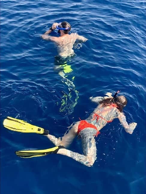 Larnaca: Snorkelling Zenobia Wreck Plus Mini Cruise - What you can see above a 42-meter wreck