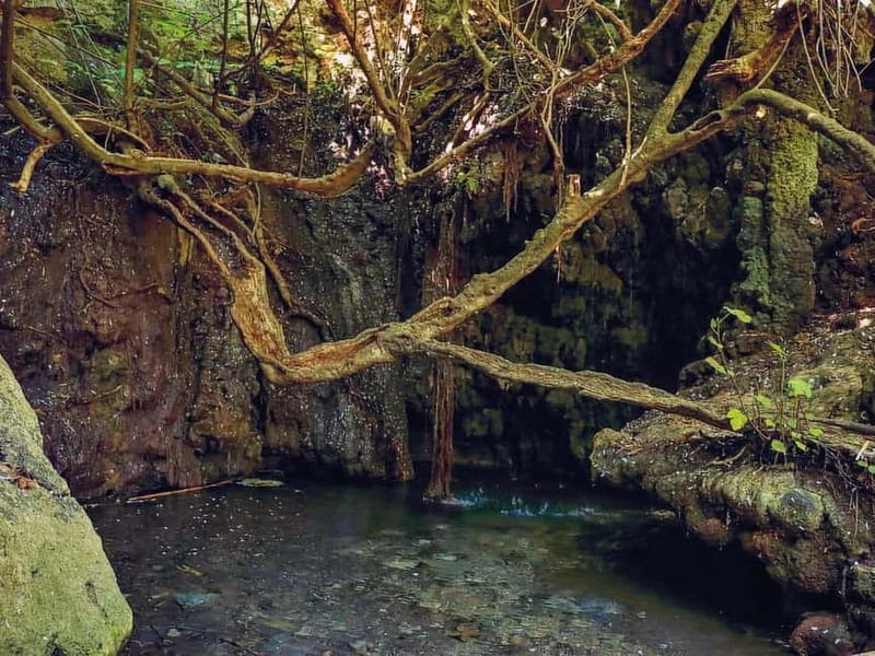 Limassol: Aphrodite Baths & Blue Lagoon Bus & Boat Day Trip - Aphrodite’s Rock and the first coastal view