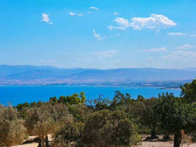 Limassol: Blue Lagoon and Aphrodite’s Birthplace Day Tour - Why this Cyprus day trip works