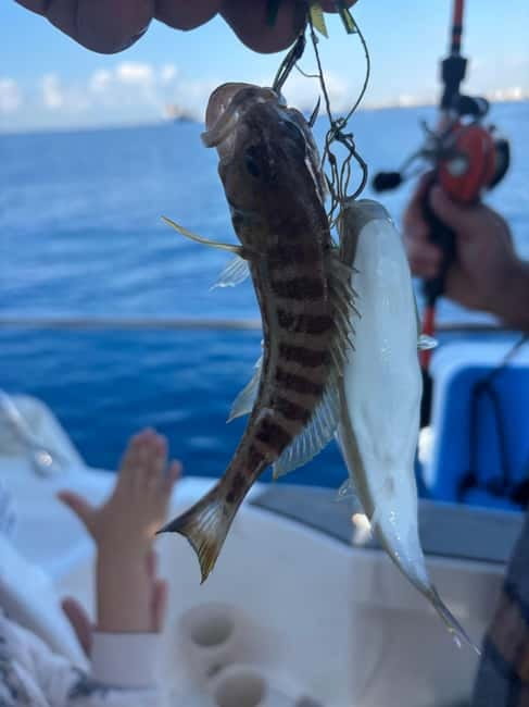 Limassol: Snorkeling trip in Limassol - What you actually get for $377 per group