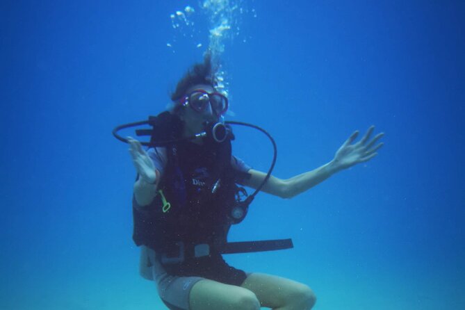 Local Guided Dives (for certified/licensed divers) - The local sites, from gentle Green Bay to Konnos Point