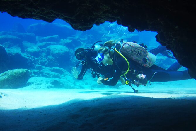 Local Guided Dives (for certified/licensed divers) - Returning to the centre for coffee and photographs