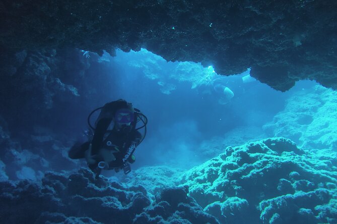 Local Guided Dives (for certified/licensed divers) - Who should book this Protaras experience?