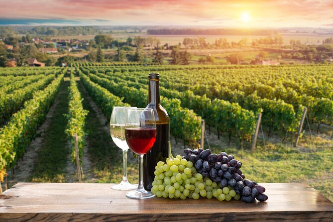 Meet the Locals of Lefkara and Machairas Mountains - Christoudia Winery and the grape-to-bottle story