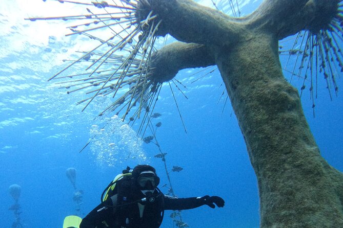 Musan Scuba Diving Private Adventure - Learning the equipment before entering deeper water