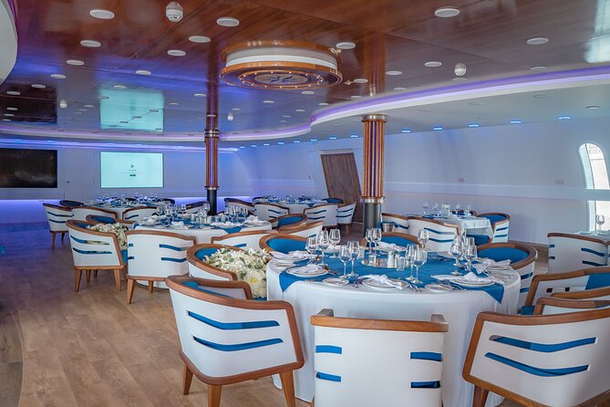Ocean Vision | Half Day with BBQ Cruise - Who should book Ocean Vision?