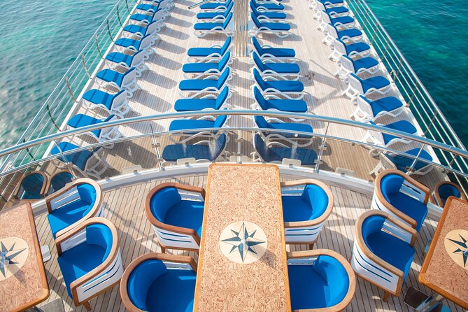 Ocean Vision | Half Day with BBQ Cruise - A large cruiser with several ways to spend the afternoon