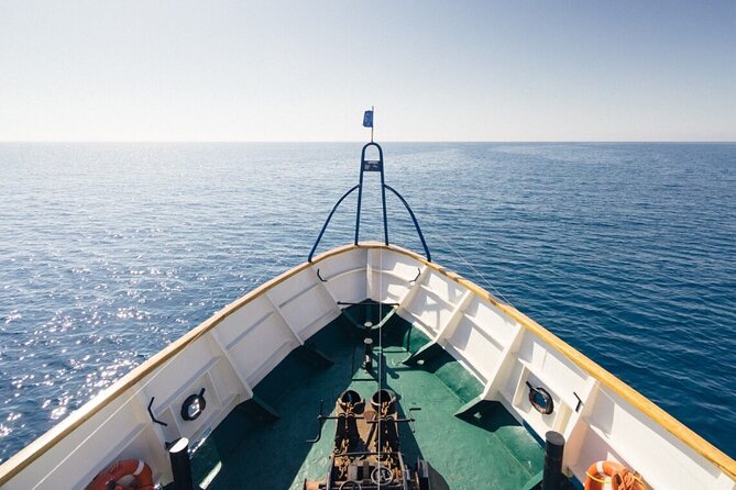 Odyssey Boat Safari from Larnaca - Kalamies Beach marks the end of the cruise