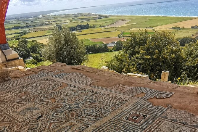 Pafos - Archaeology & Beauty tour from Limassol - The House of Dionysus and Pafos mosaics