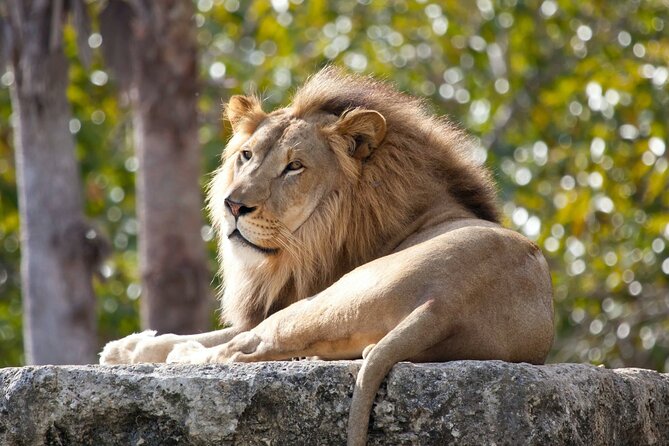 Pafos Zoo Ticket - The parrot show and children’s farm add useful structure