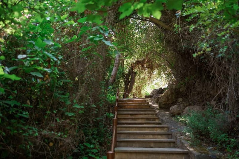 Paphos/Akamas: Blue Lagoon Bus & Boat Tour with Water Slide - The Edro III shipwreck and Peyia sea caves