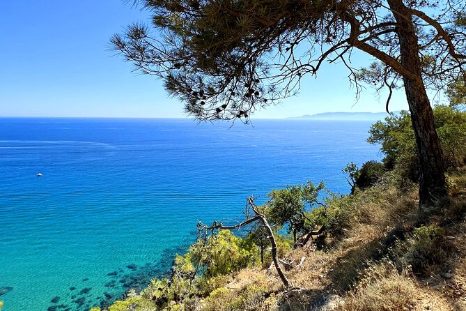 Paphos: Akamas Gorge & Turtle Bay & Donkey Farm Jeep Safari Tour - Lara Bay and the turtle coast