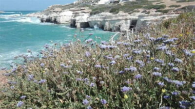 Akamas, Waterfalls & Blue Lagoon of Aphrodite Tour