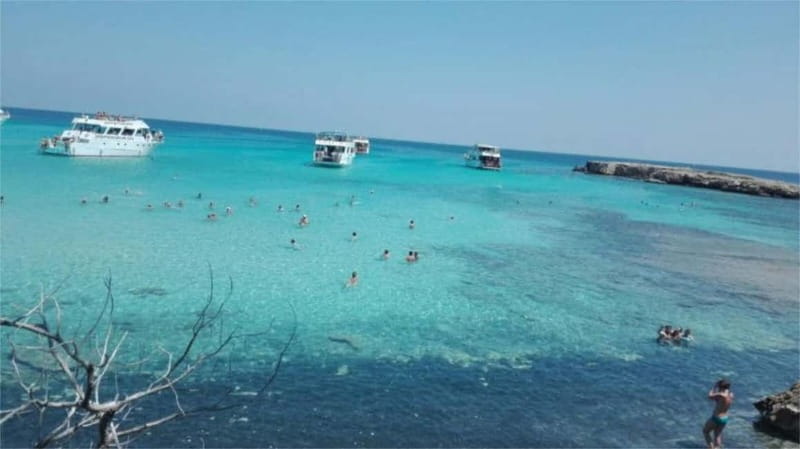 Paphos: Akamas, Waterfalls & Blue Lagoon of Aphrodite Tour - Lara Beach and Turtle Bay: a brief look at conservation