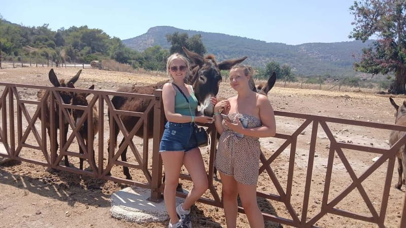 Paphos: Avakas Gorge & Turtle Bay Jeep Tour with Donkey Farm - Lara Bay and the turtle beach