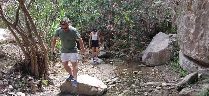 Paphos: Avakas Gorge & Turtle Bay Jeep Tour with Donkey Farm - The Baths of Aphrodite