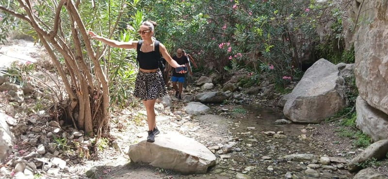 Paphos: Avakas Gorge & Turtle Bay Jeep Tour with Donkey Farm - Feeding donkeys at a local farm