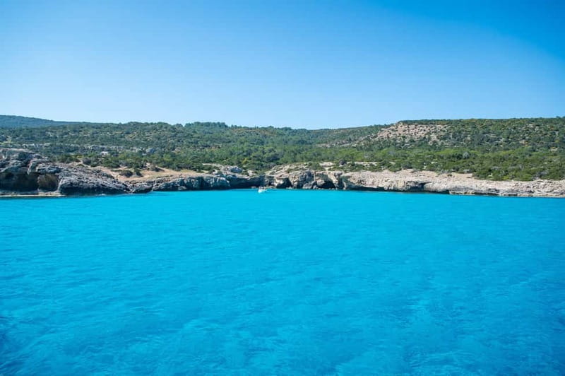Paphos: Blue Lagoon, Aphrodite's Baths & Sea Caves Day Trip - Is $53 good value?