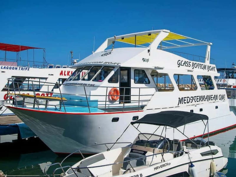 Paphos: Blue Lagoon, Aphrodite's Baths & Sea Caves Day Trip - Who should book this experience?