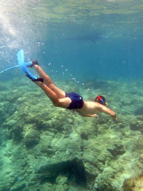 Paphos: Blue Lagoon Cruise-BBQ Lunch, Open Bar, Slide - The quick facts that matter