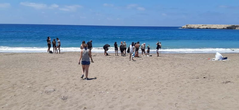 Paphos: Buggy Tour Akamas incl and Adonis Falls - Lara Bay: swim, shade, or lunch
