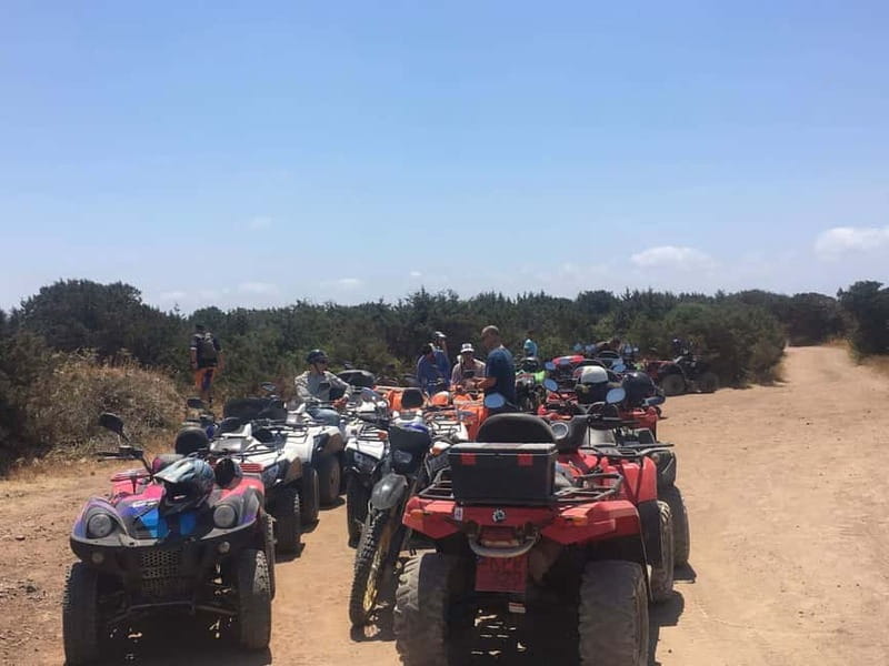 Paphos: Buggy Tour Akamas incl and Adonis Falls - The ride to Adonis Falls