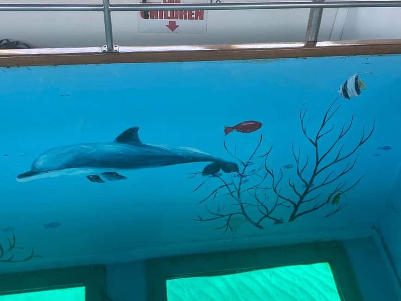 Paphos: Glass Bottom Boat Trip with Swimming or Snorkeling - How the boat works for families