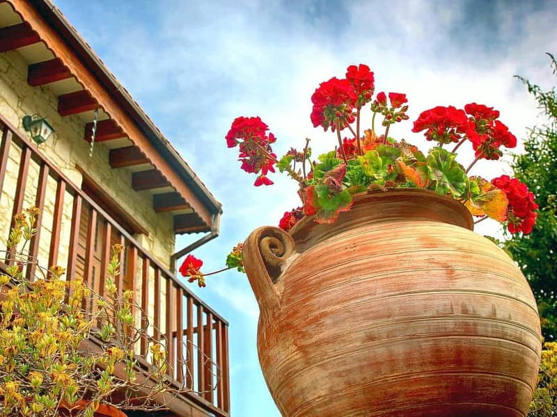 Paphos: Gourmet Cyprus Tour – Local Flavors & Wine - Who Will Enjoy This Day Most