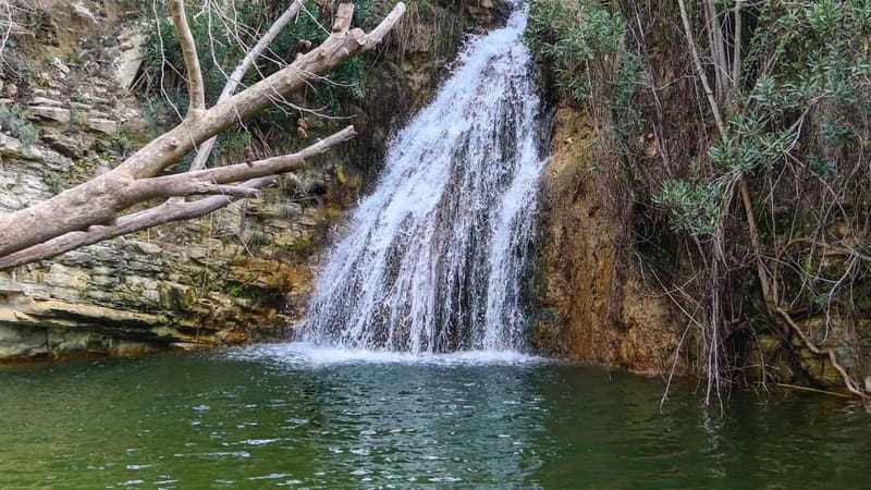 Paphos: Half Day Jeep Tour Akamas Peninsula (Private) - The Edro III shipwreck and a quick history lesson