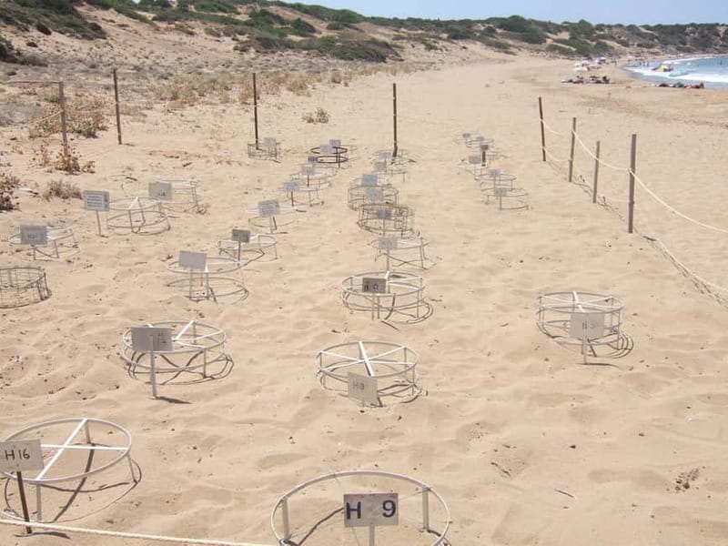 Paphos: Land Rover Jeep Safari Coastal Tour and Blue Lagoon - One hour at the Blue Lagoon