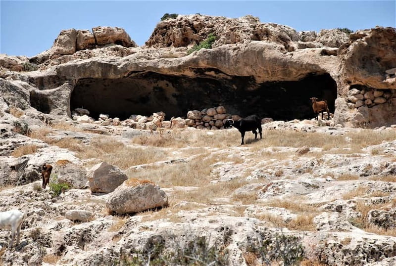 Paphos: Land Rover Jeep Safari Coastal Tour and Blue Lagoon - Lunch at a traditional taverna in Latchi
