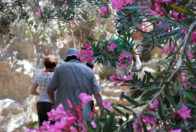 Paphos: Land Rover Jeep Safari Coastal Tour and Blue Lagoon - The Baths of Aphrodite and the village road home
