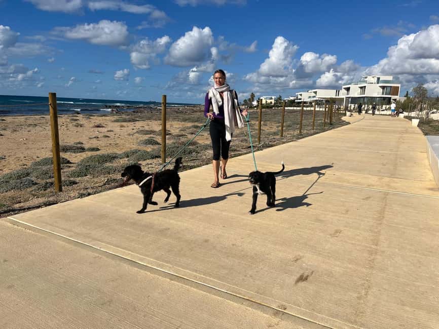 Paphos: Lighthouse Area Beach Walk with Rescue Dogs - Why walk Paphos with rescue puppies?