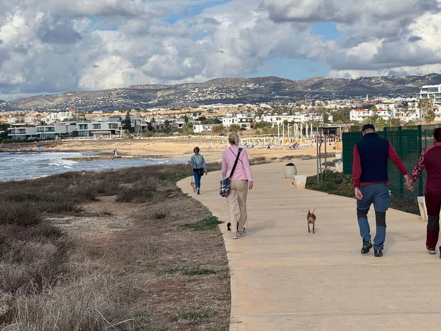 Paphos: Lighthouse Area Beach Walk with Rescue Dogs - What you learn about Cyprus animal welfare