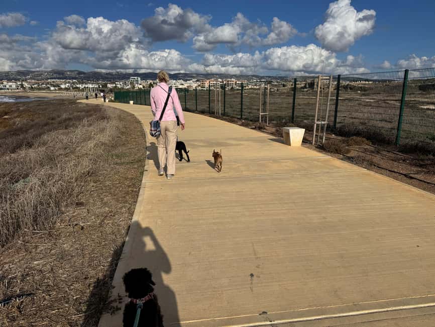 Paphos: Lighthouse Area Beach Walk with Rescue Dogs - The best photo moments, with the dogs’ consent