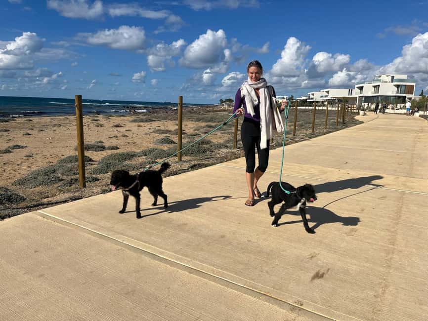 Paphos: Lighthouse Area Beach Walk with Rescue Dogs - Who will enjoy this walk most?