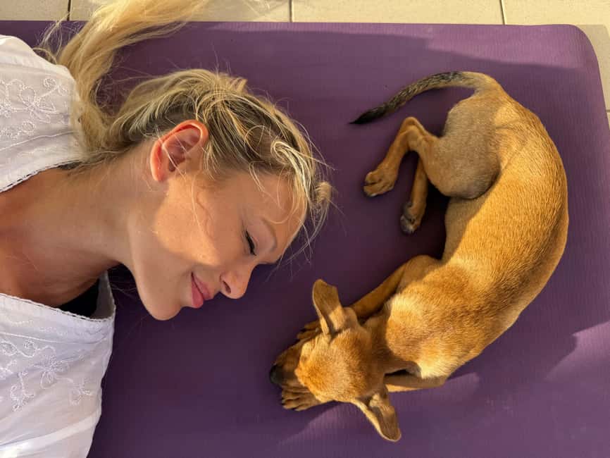 Paphos (Peyia): Mindful Yoga with Rescue Puppies - What the Peyia Puppy Yoga Session Is Really Like