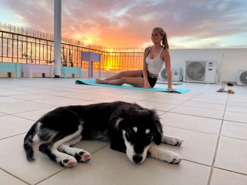 Paphos (Peyia): Mindful Yoga with Rescue Puppies - Gentle Yoga With Sea Views