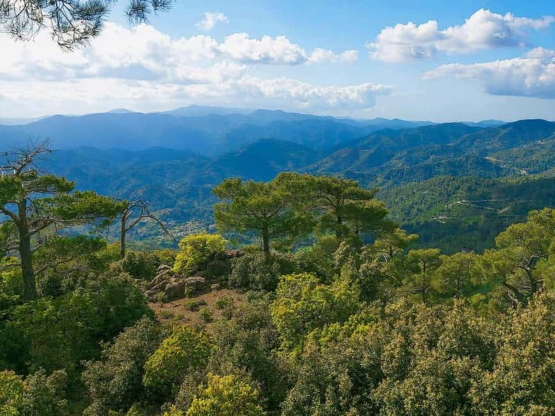 Paphos: Scenic Troodos Mountains Tour with Wine Tasting - Leaving Paphos for the Troodos Mountains