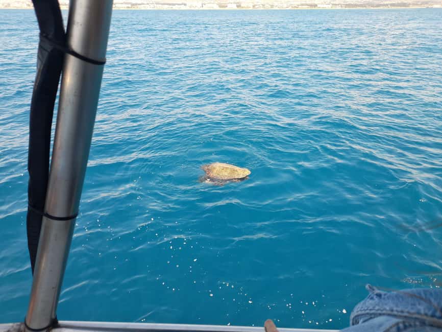 Paphos: The Yellow Glass-Bottom Boat Cruise Swim & Snorkel - Returning along the cliffs and coves