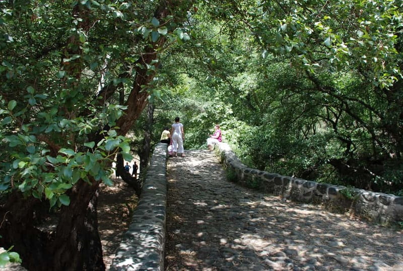 Paphos: Troodos-Kykkos Land Rover Treasure Jeep Safari - Forest roads and the Venetian bridge