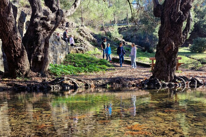 Paphos - Troodos Mountains: To the highest peaks. - Key points before you book