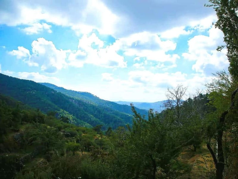 Paphos: Troodos, Omodos & Kykkos Monastery Full-Day Tour - Omodos and the Timios Stavros Monastery