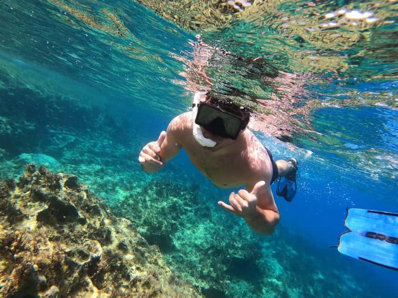 Paphos: Turtle-Watching Snorkeling Sea Scooter Trip - Key points at a glance