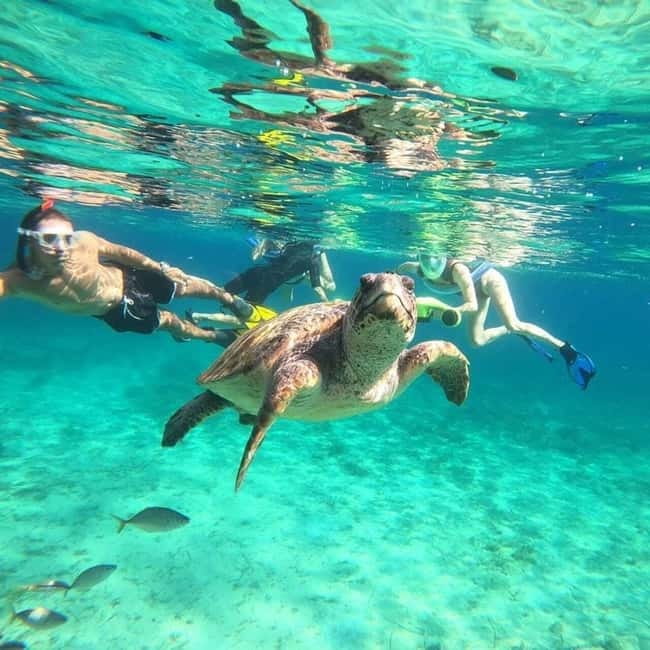 Paphos: Turtle-Watching Snorkeling Sea Scooter Trip - Sea scooters add fun, but they are shared