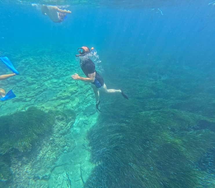 Paphos: Turtle-Watching Snorkeling Sea Scooter Trip - Looking for turtles in their own home