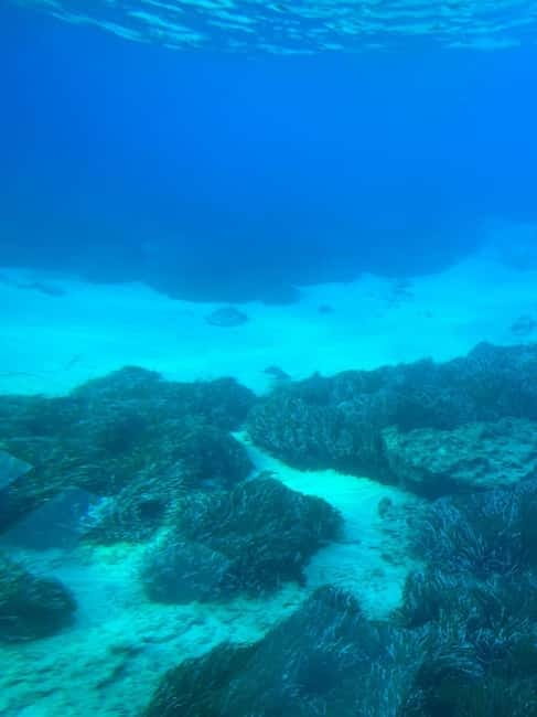 Paphos: Yellow Submarine Swim Cruise with Unlimited Drinks - Atlantis Beach gives you the longest swim